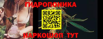 ПСИЛОЦИБИНОВЫЕ ГРИБЫ Рязань