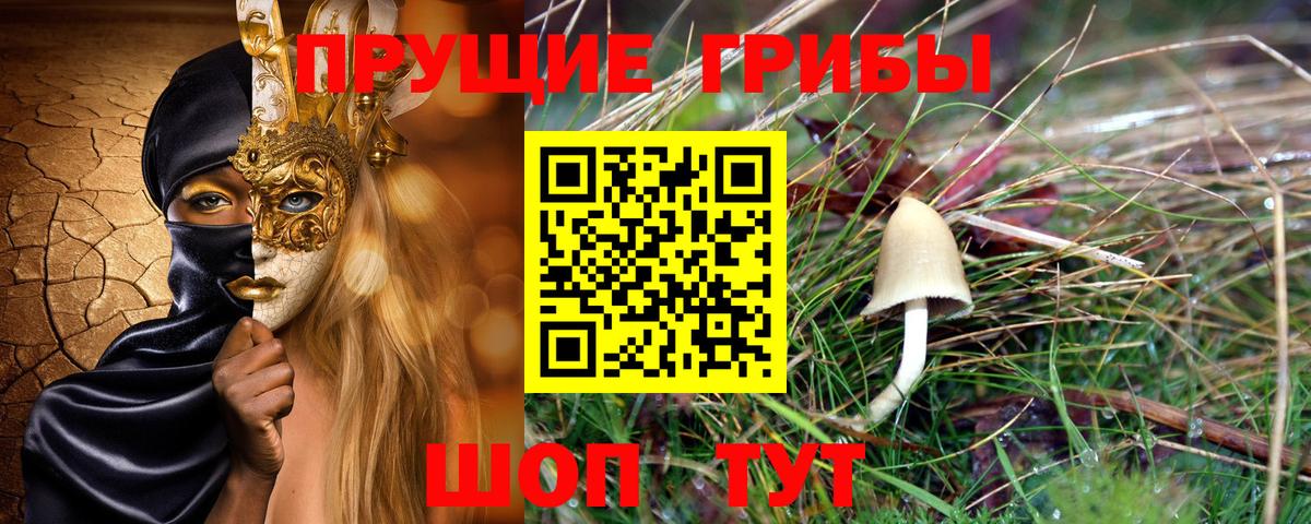 Псилоцибиновые грибы GOLDEN TEACHER Протвино