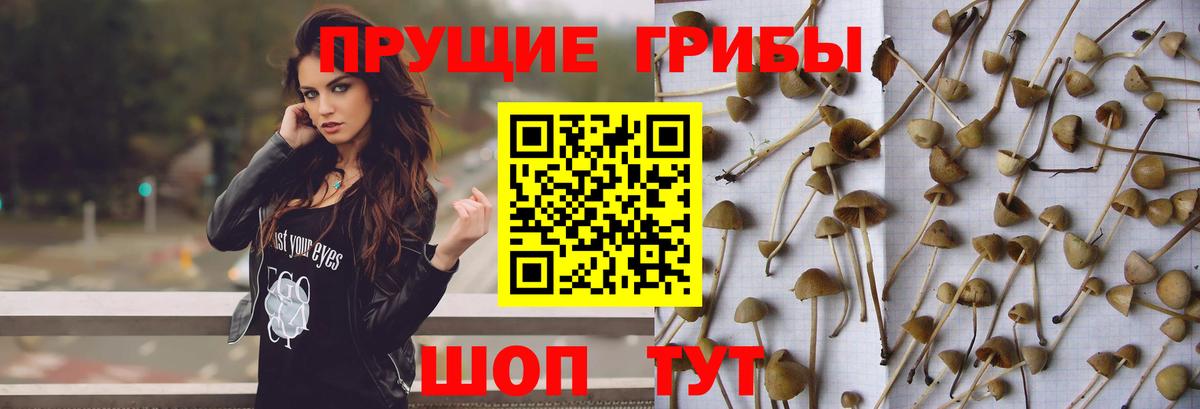 Псилоцибиновые грибы Cubensis  Псилоцибиновые грибы MAGIC MUSHROOMS  Вход с VPN  Протвино 